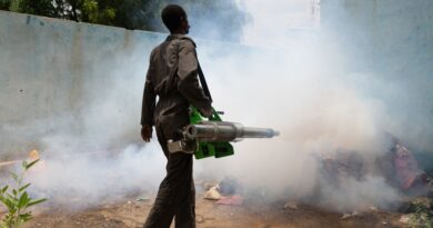 ‘Corpses rotting in the Nile’ as cholera tears through Sudan