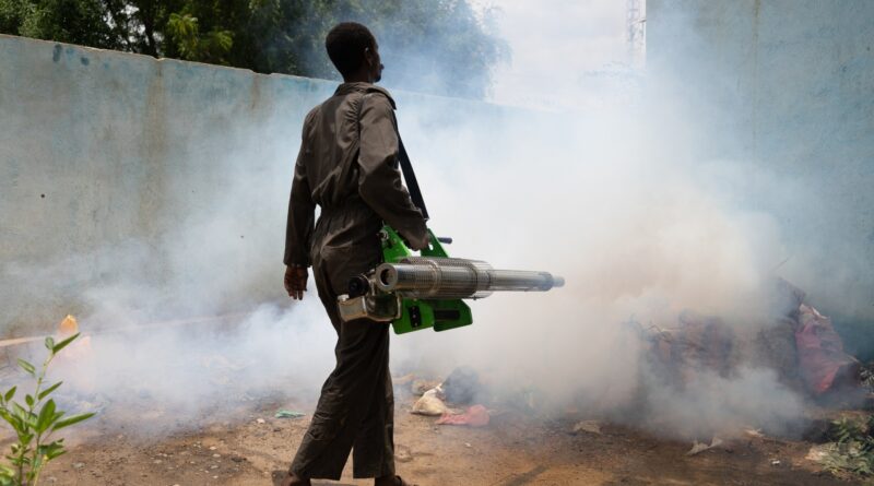 ‘Corpses rotting in the Nile’ as cholera tears through Sudan