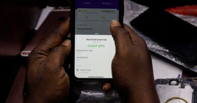 ‘I invested in a Ponzi scheme’: Nigerians fall victim to crypto scams