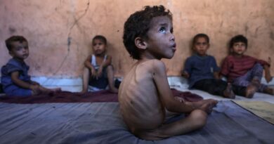 'Famine', 'starvation': the challenges in defining Gaza's plight