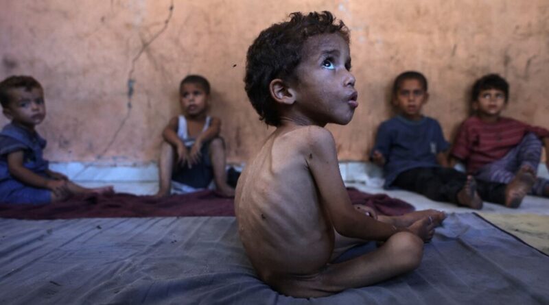 'Famine', 'starvation': the challenges in defining Gaza's plight