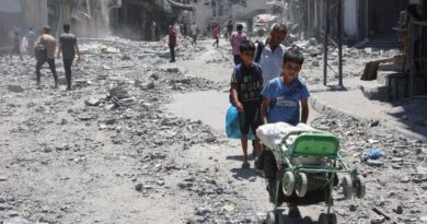 20 people killed in aid point crush in southern Gaza