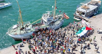Activist boat Handala seized off Gaza brought to Israel