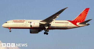Air India crash report: Cockpit voices fuel controversy over doomed flight