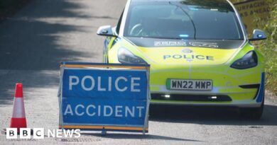 Amazon delivery driver dies as train strikes van in Teynham