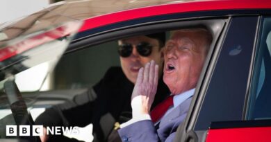 America Party: Trump calls Musk's new political party plan 'ridiculous'