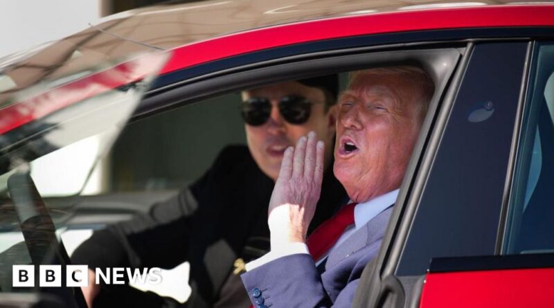 America Party: Trump calls Musk's new political party plan 'ridiculous'