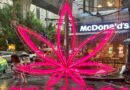 As Thailand does U-turn on legal cannabis, businesses scramble to survive