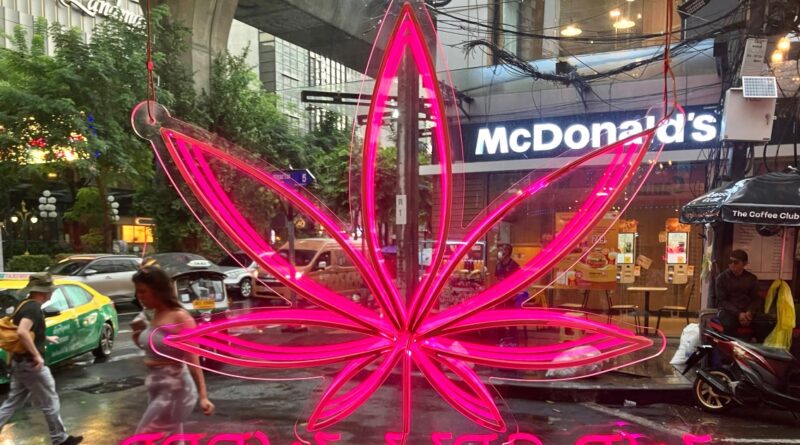 As Thailand does U-turn on legal cannabis, businesses scramble to survive