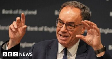 Bank of England prepared to cut rates if job market slows, says governor
