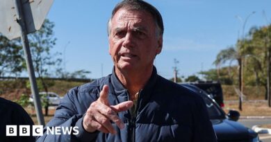 Bolsonaro: Court orders him to wear ankle tag and imposes curfew