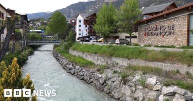 British woman dies after rafting incident in French Alps
