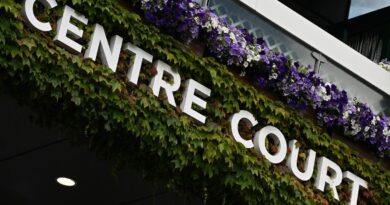 Campaign Group Hopes Wimbledon Expansion Plans Are Called Out