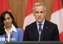 Canada follows France and UK with plan to recognise Palestinian state
