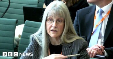 Criminal Cases Review Commission: Chair of miscarriage of justice body quits