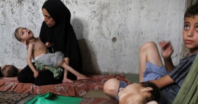Death toll from starvation in Gaza rises to 115 as Israeli attacks continue