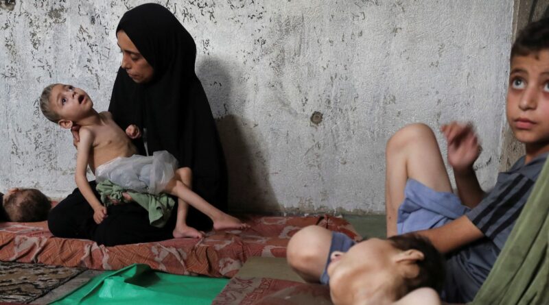 Death toll from starvation in Gaza rises to 115 as Israeli attacks continue