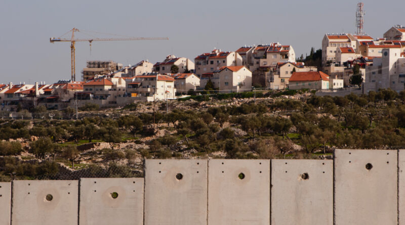 Defending Palestine’s land, lives, and dignity