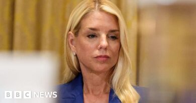 Donald Trump defends Pam Bondi over Jeffrey Epstein files