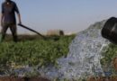 Drought-hit Morocco turns to desalination to save vegetable bounty