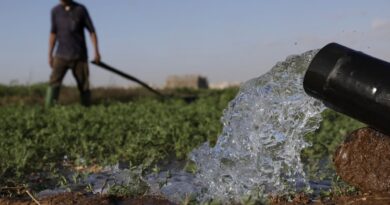 Drought-hit Morocco turns to desalination to save vegetable bounty
