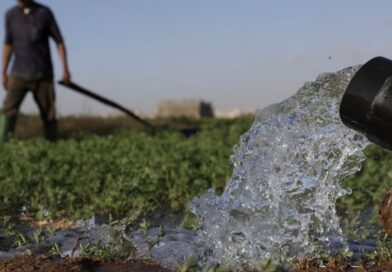 Drought-hit Morocco turns to desalination to save vegetable bounty
