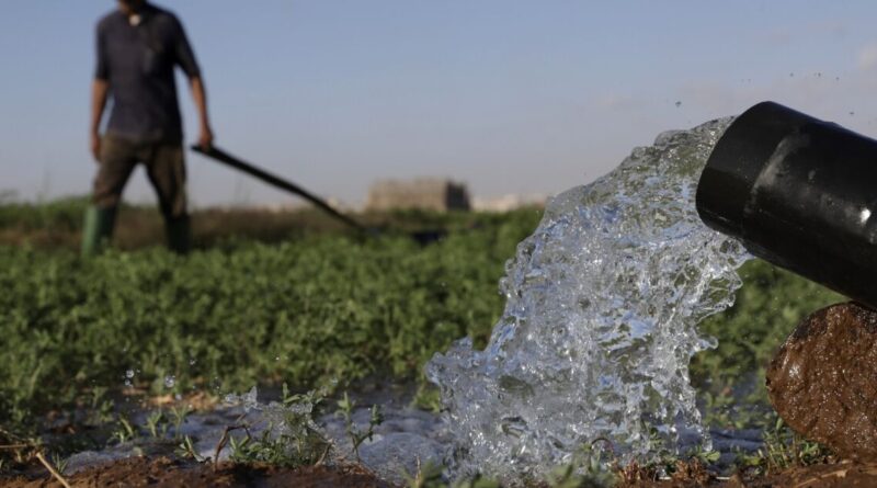 Drought-hit Morocco turns to desalination to save vegetable bounty