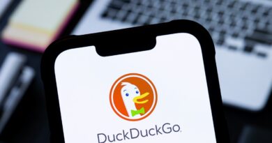 DuckDuckGo now lets you hide AI-generated images in search results | TechCrunch