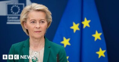 EU delays retaliatory trade tariffs against US