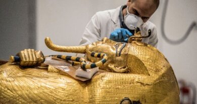 Egyptian conservators give King Tut's treasures new glow