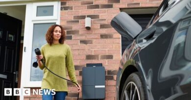 Electric car purchases will be cheaper, pledges Heidi Alexander