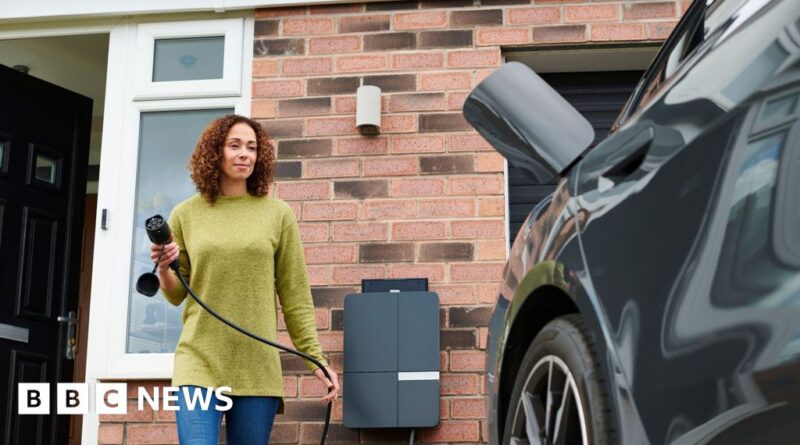 Electric car purchases will be cheaper, pledges Heidi Alexander