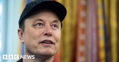 Elon Musk says he is launching new America Party
