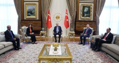 Erdogan, pro-Kurdish MPs meet in 'new phase' of rapprochement