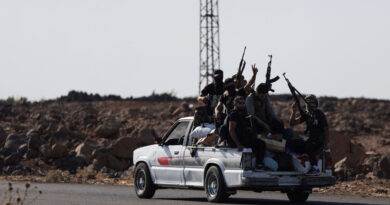 Exclusive-Syria believed it had green light from US, Israel to deploy troops to Sweida