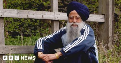 Fauja Singh: Driver held over hit-and-run death of world's 'oldest' marathon runner