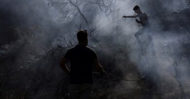 Fires in Greece’s Crete and near Athens extinguished; two dead in Turkiye