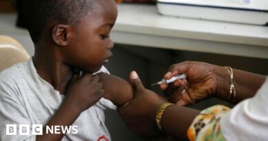 First malaria vaccine for babies approved for use