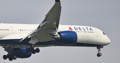 For Delta, Trans-Pacific Revenue Climbs While Domestic Falls