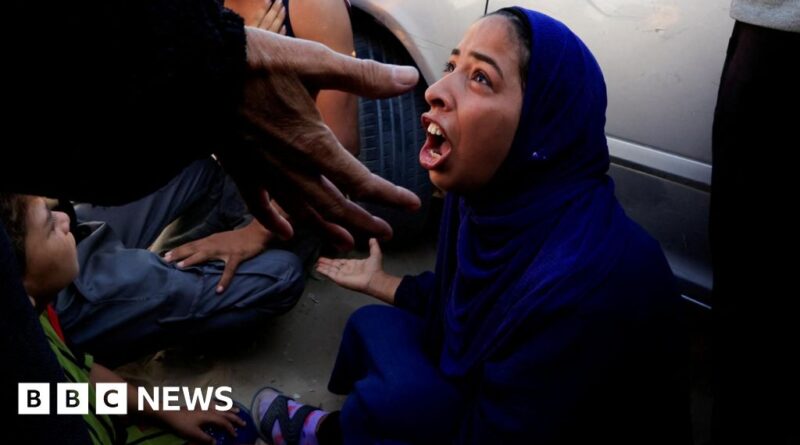 Gaza: At least 20 killed in crush at US-backed GHF aid site