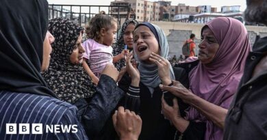 Gaza: Dozens killed by Israeli gunfire near aid distribution sites, Hamas-run ministry says