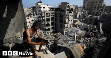 Gaza: Hamas says it is consulting other groups on ceasefire plan