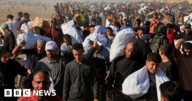 Gaza Humanitarian Foundation: US aid workers wounded in attack