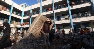 Gaza civil defence says 29 killed in Israeli strikes