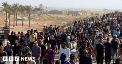 Gaza hospital says 24 people killed near aid site as witnesses blame IDF