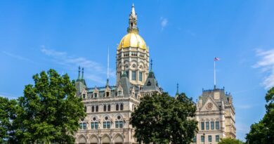 Gold domes, historic statues, and nods to state flags: Photos show what the capitol looks like in every state