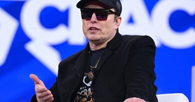 Elon Musk on stage at CPAC in Maryland with sunglasses on and a MAGA hat