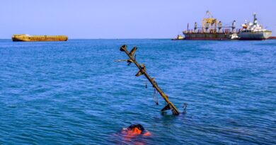 Gunboats target cargo vessel in Red Sea; crew abandons ship