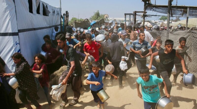 Hungry and exhausted, AFP journalists document Gaza war
