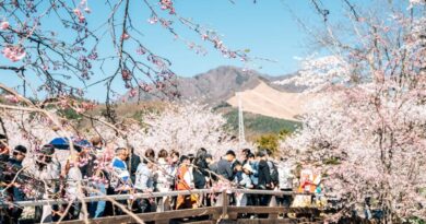I went to Japan during peak season. This is my one big tip for escaping the crowds.